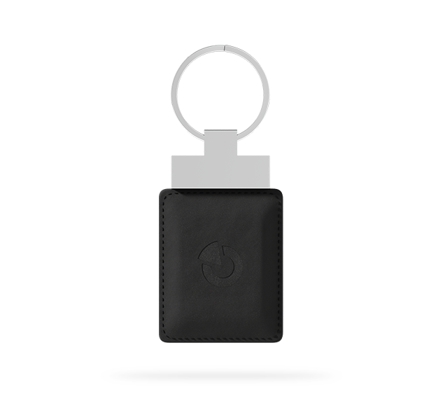 Control devices - Dual LF-HF UID Leather Key fob
